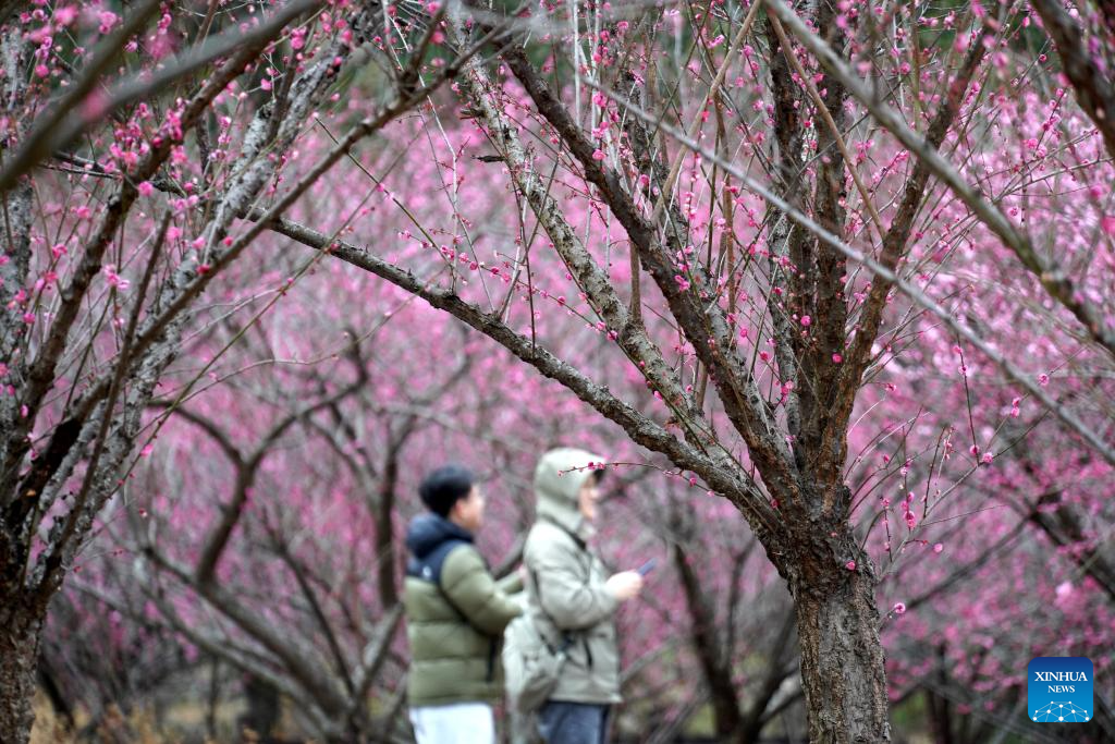 Picturesque scenery across China
