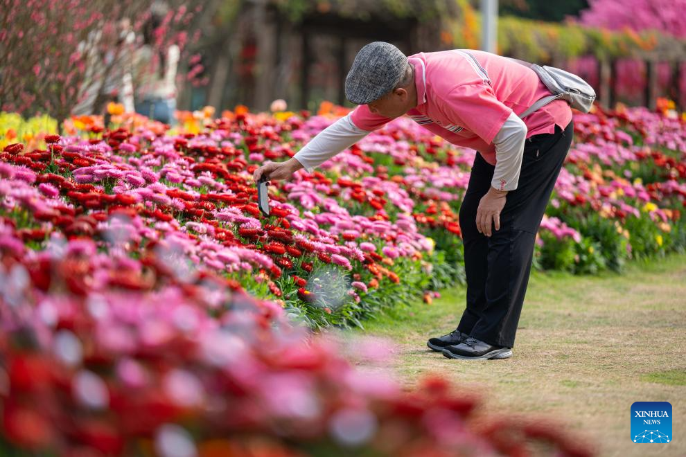 Flower exhibition held to celebrate upcoming Chinese New Year in Macao