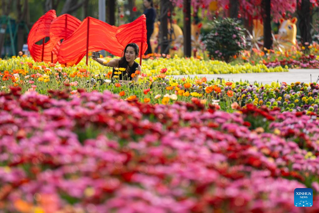 Flower exhibition held to celebrate upcoming Chinese New Year in Macao