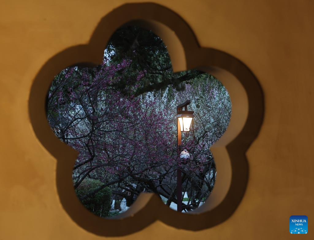 Special night tour event featuring plum blossoms held at Chaoshan scenic area in E China's Hangzhou