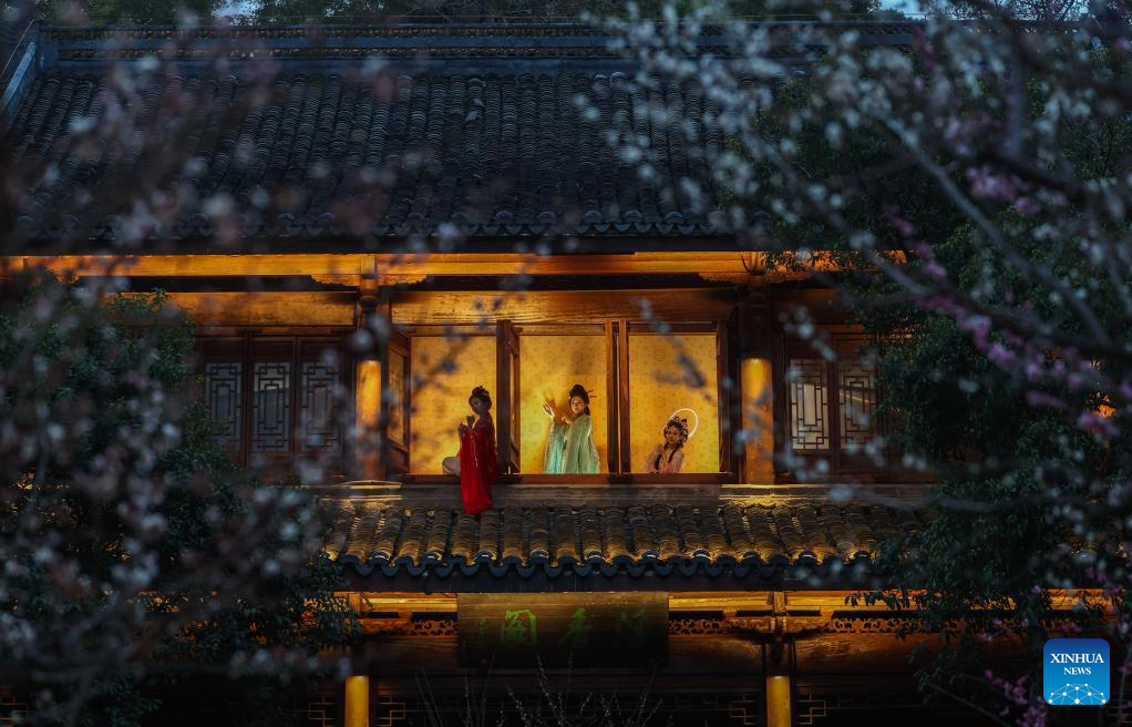 Special night tour event featuring plum blossoms held at Chaoshan scenic area in E China's Hangzhou