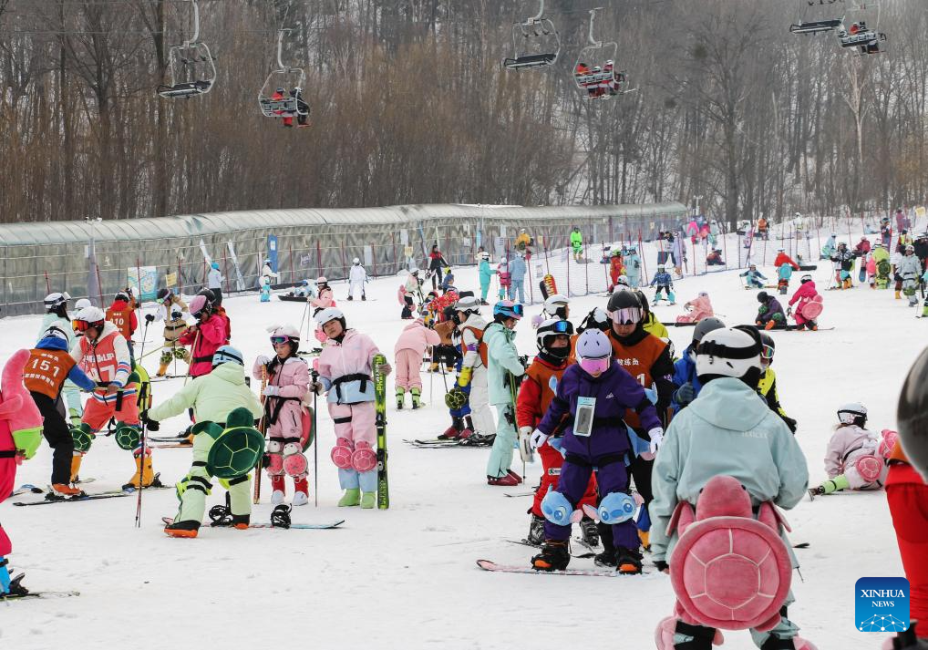 People embrace joy of ice and snow-themed activities across China during Spring Festival holiday
