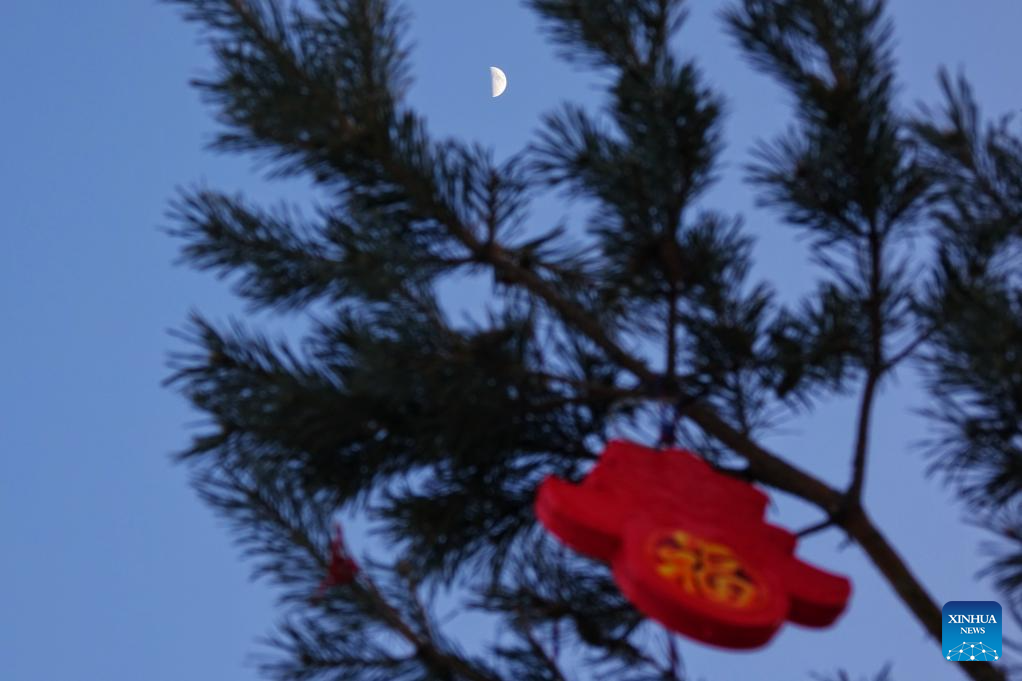 In pics: largest first quarter moon of 2026