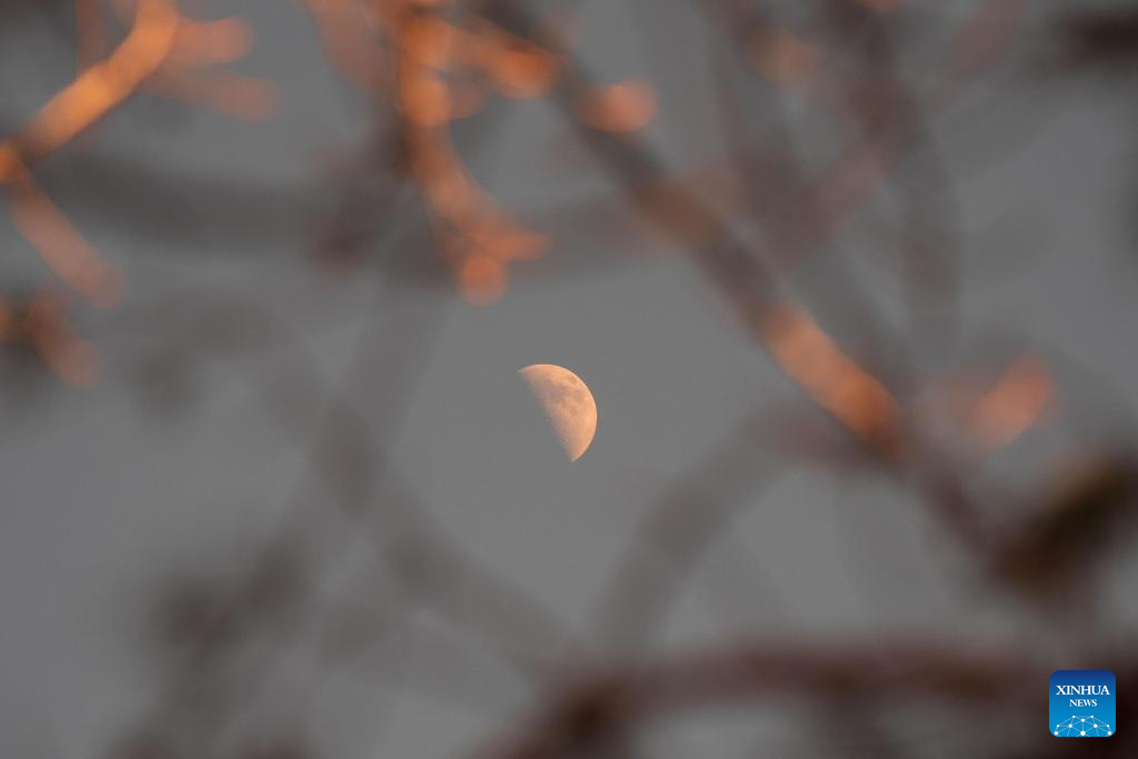 In pics: largest first quarter moon of 2026