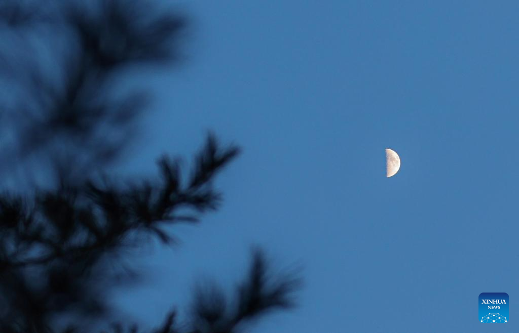 In pics: largest first quarter moon of 2026