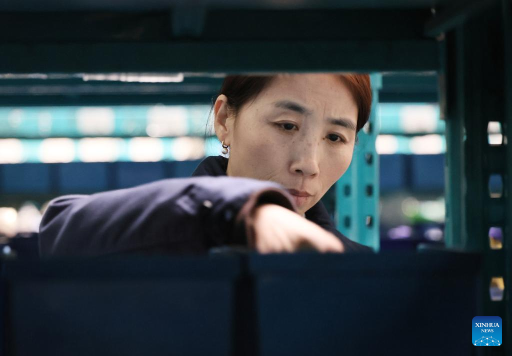 NPC deputy conveys industrial voices from grassroots