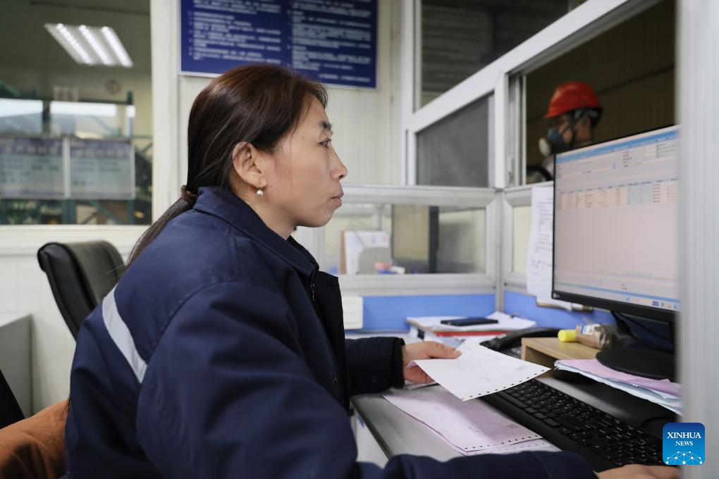 NPC deputy conveys industrial voices from grassroots