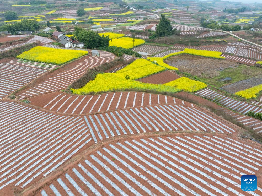 View of farmlands in SW China