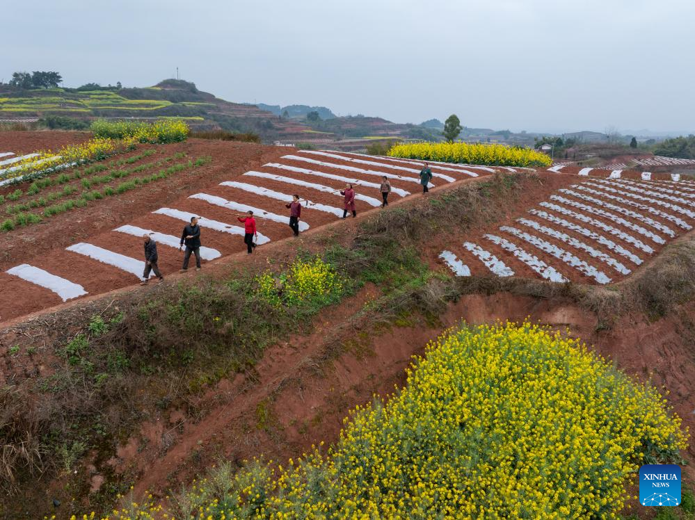 View of farmlands in SW China