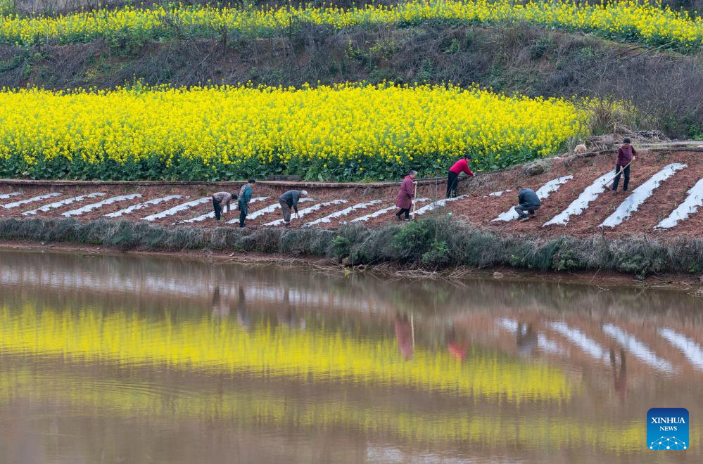 View of farmlands in SW China