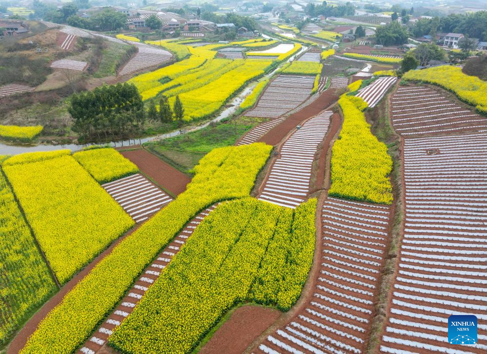 View of farmlands in SW China