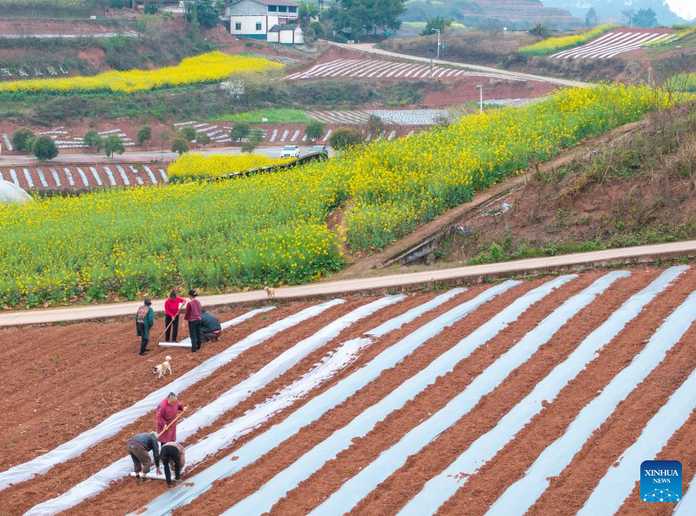 View of farmlands in SW China