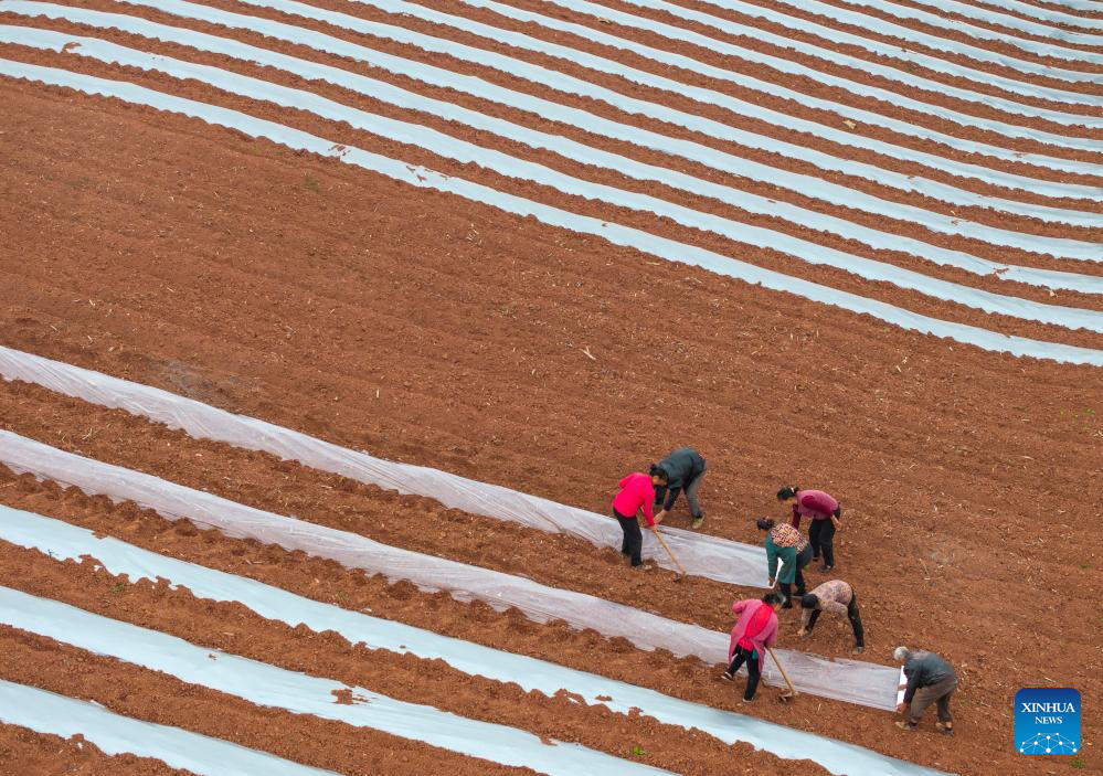 View of farmlands in SW China