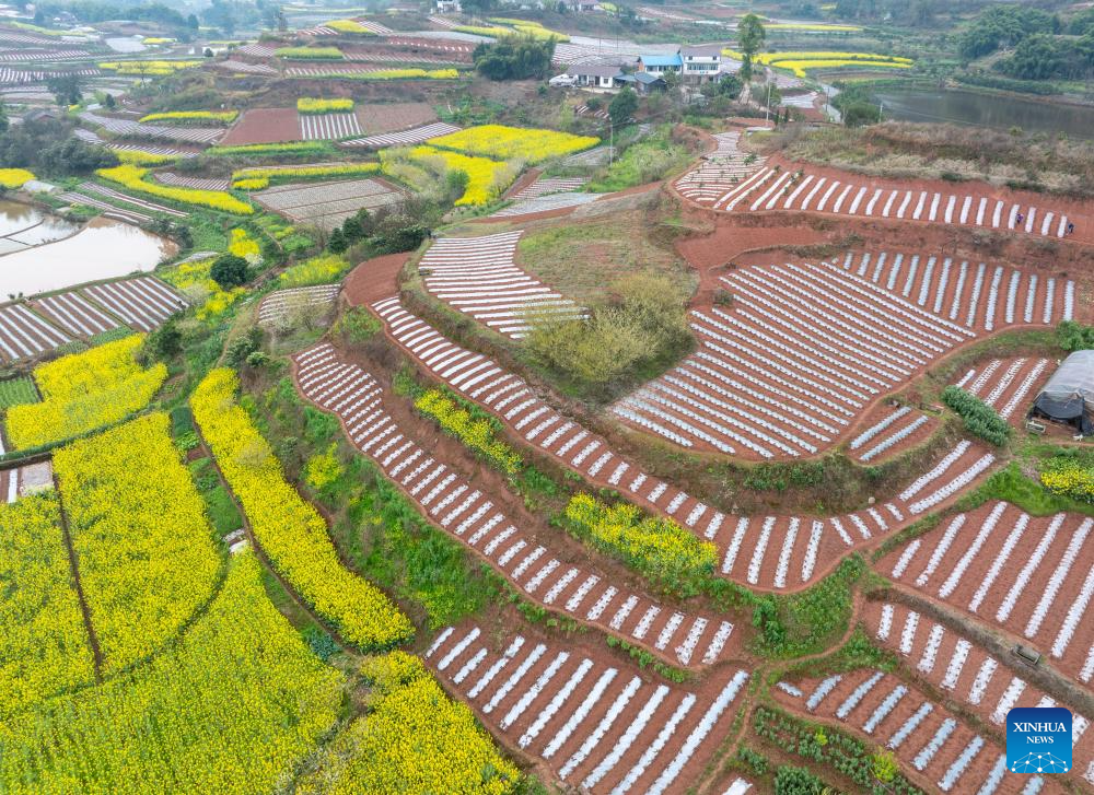 View of farmlands in SW China