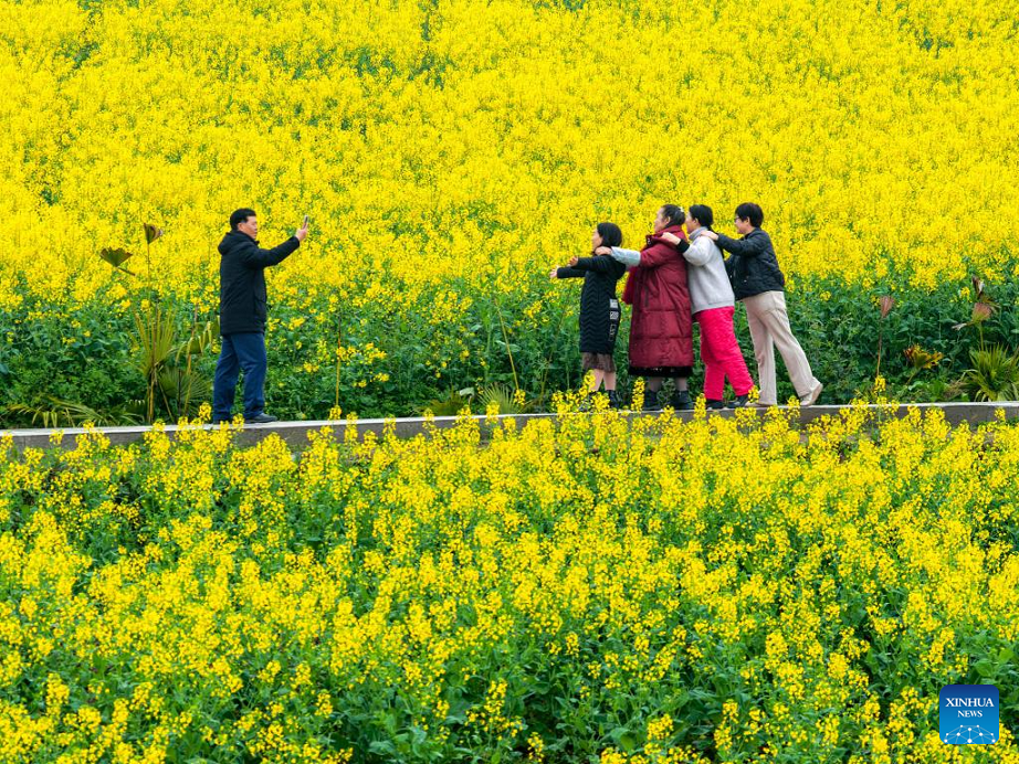 People visit rapeseed flower field in Xiucai Village, China's Chongqing