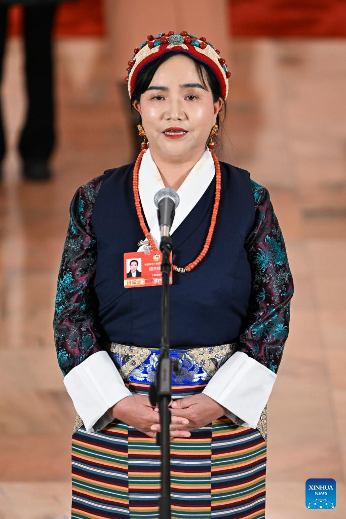CPPCC members attend group interview before 2nd plenary meeting