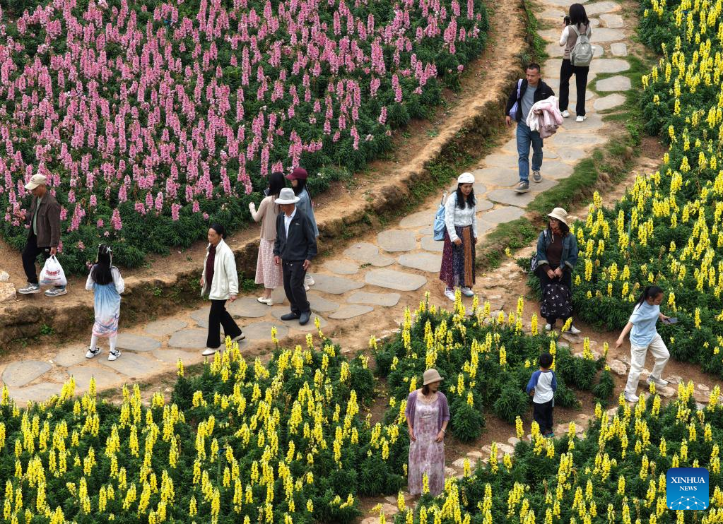 Spring scenery in Nanning, S China's Guangxi