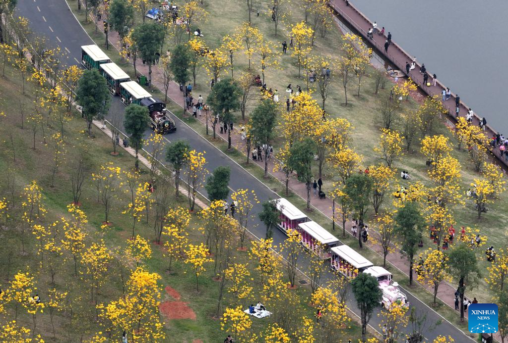 Spring scenery in Nanning, S China's Guangxi