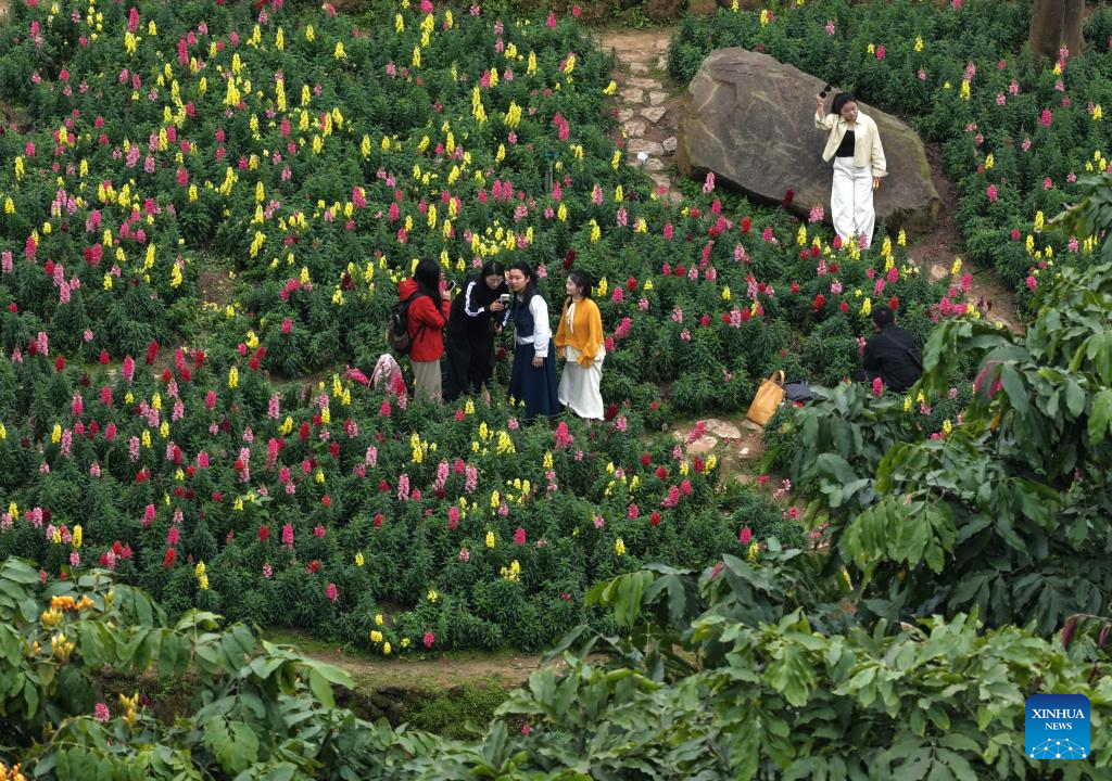Spring scenery in Nanning, S China's Guangxi