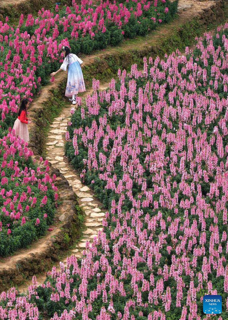 Spring scenery in Nanning, S China's Guangxi