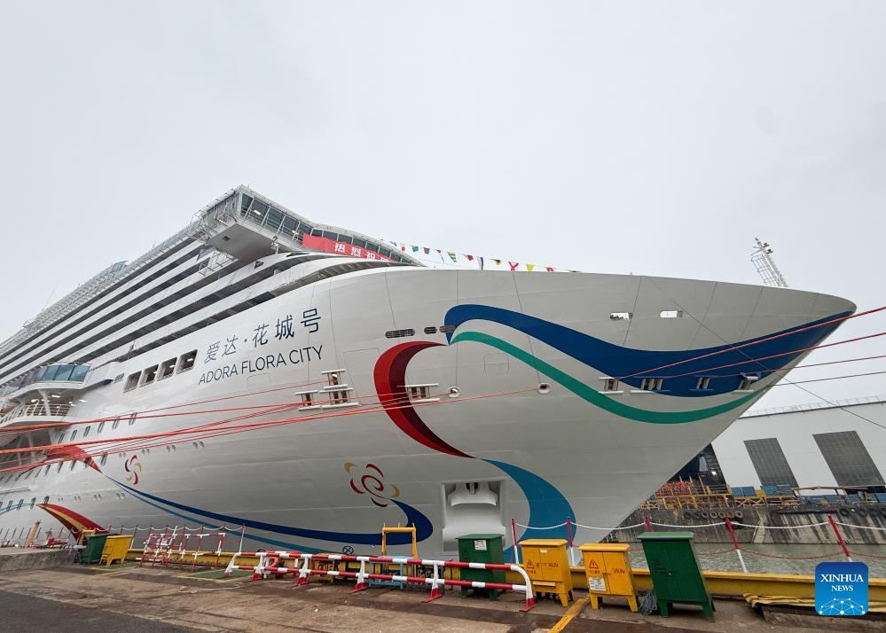 China's second homegrown large cruise ship to be delivered by year end