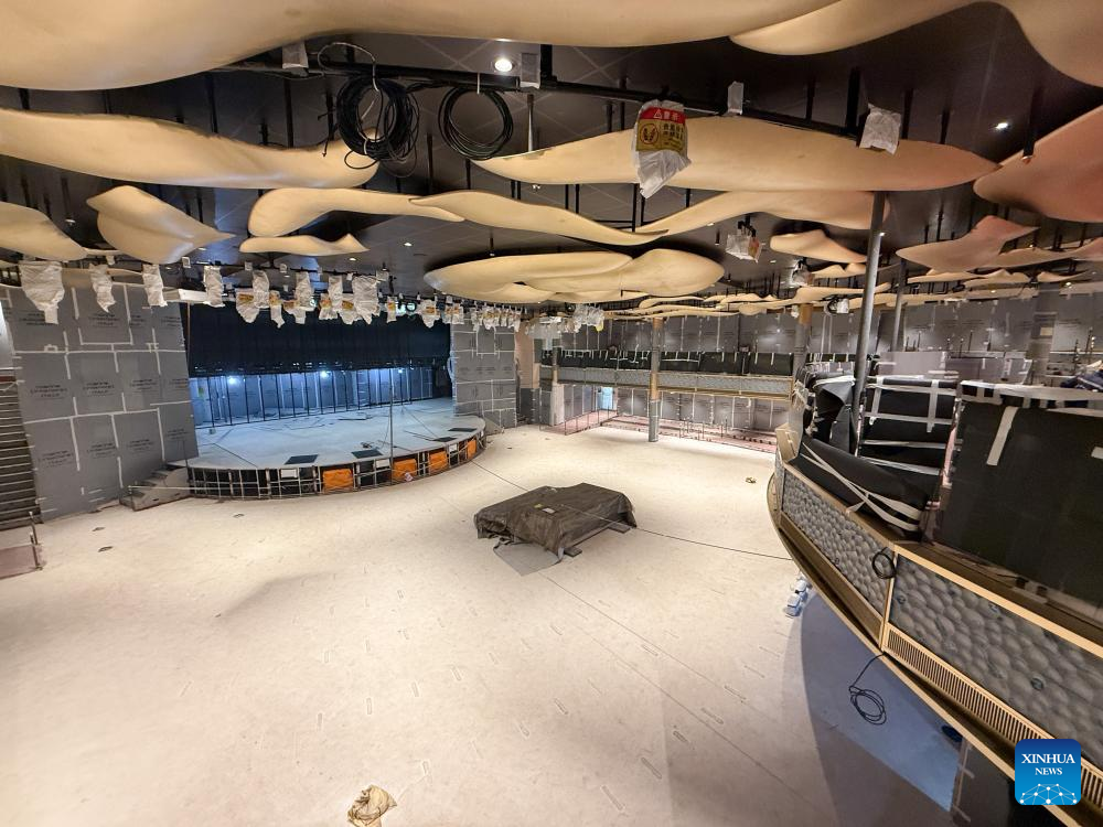 China's second homegrown large cruise ship to be delivered by year end