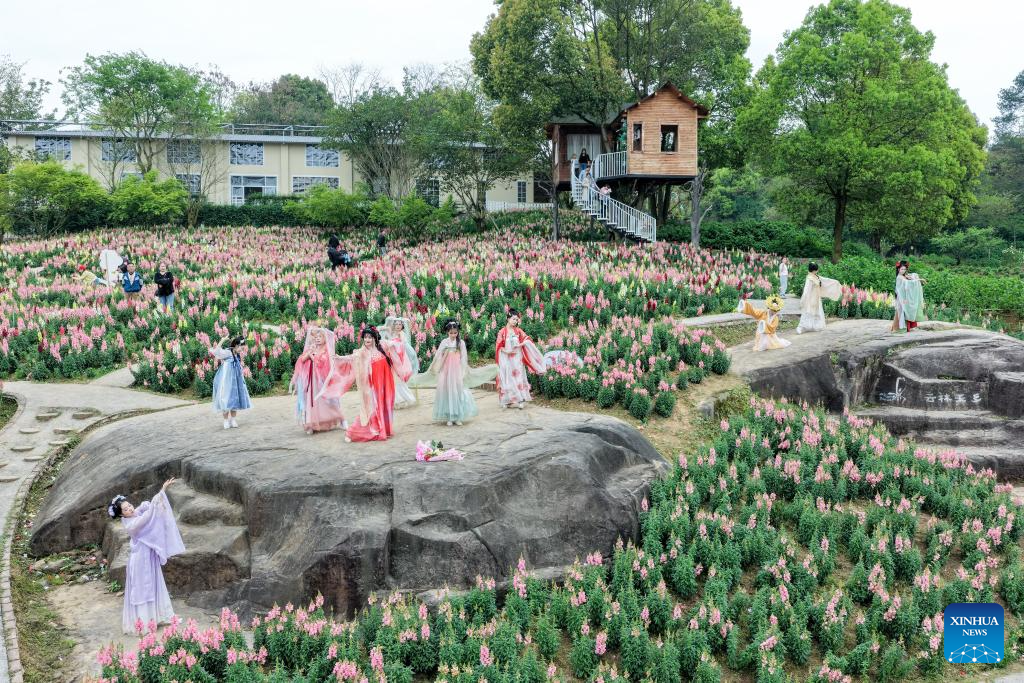 Flower-themed scenic areas drive rural tourism in Chongqing's village