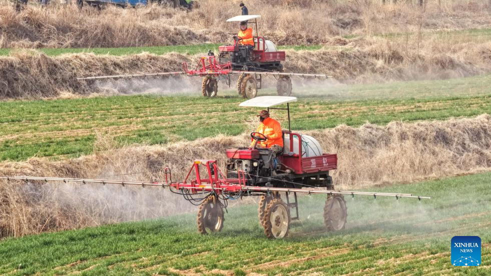 Spring plowing, crop management carried out in E China's Shandong