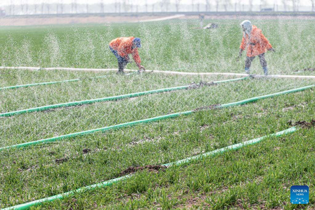 Spring plowing, crop management carried out in E China's Shandong