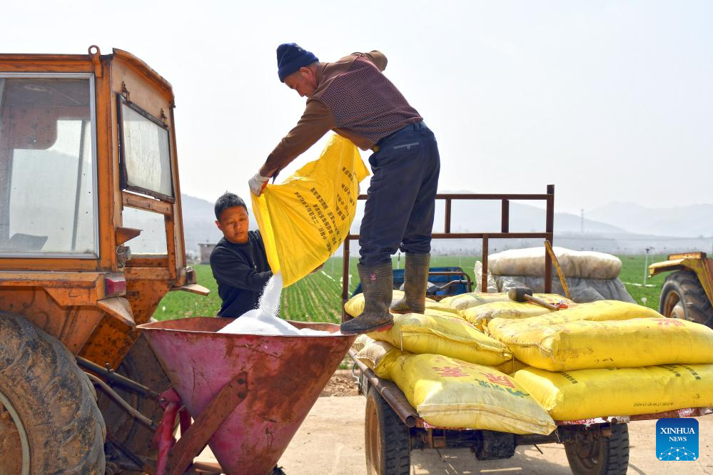 Spring plowing, crop management carried out in E China's Shandong