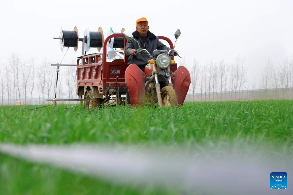 Spring plowing, crop management carried out in E China's Shandong
