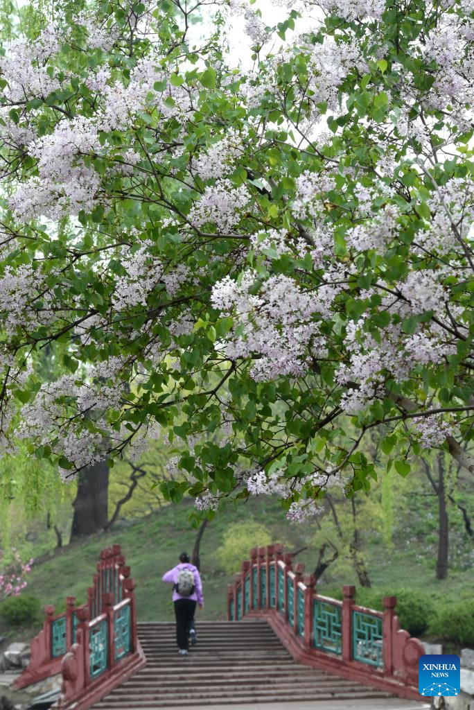 Spring tourism festival kicks off at Yuanmingyuan Park in Beijing
