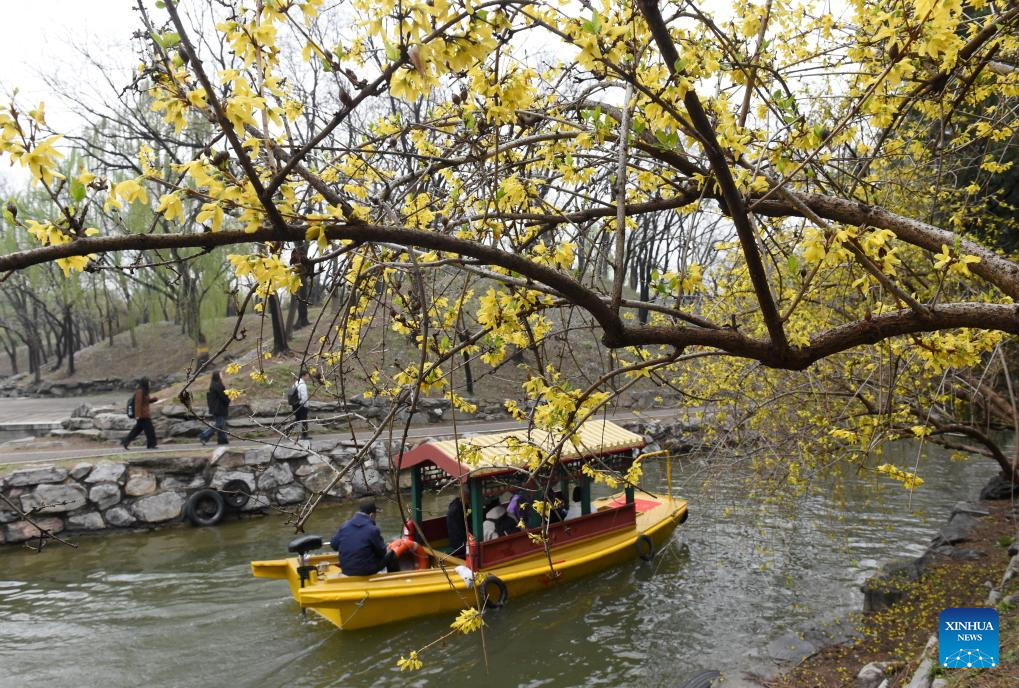 Spring tourism festival kicks off at Yuanmingyuan Park in Beijing