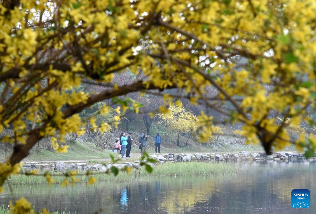 Spring tourism festival kicks off at Yuanmingyuan Park in Beijing