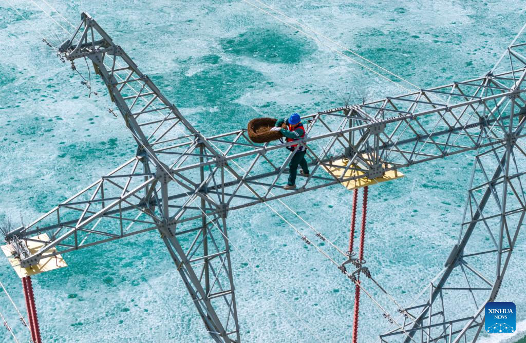 Ecological bird nests installed to protect migratory birds, power lines in Xinjiang