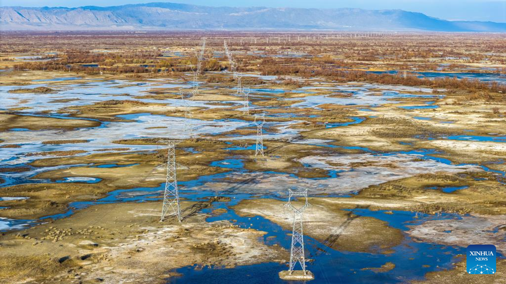 Ecological bird nests installed to protect migratory birds, power lines in Xinjiang