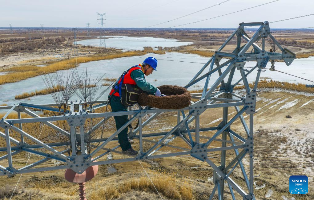 Ecological bird nests installed to protect migratory birds, power lines in Xinjiang