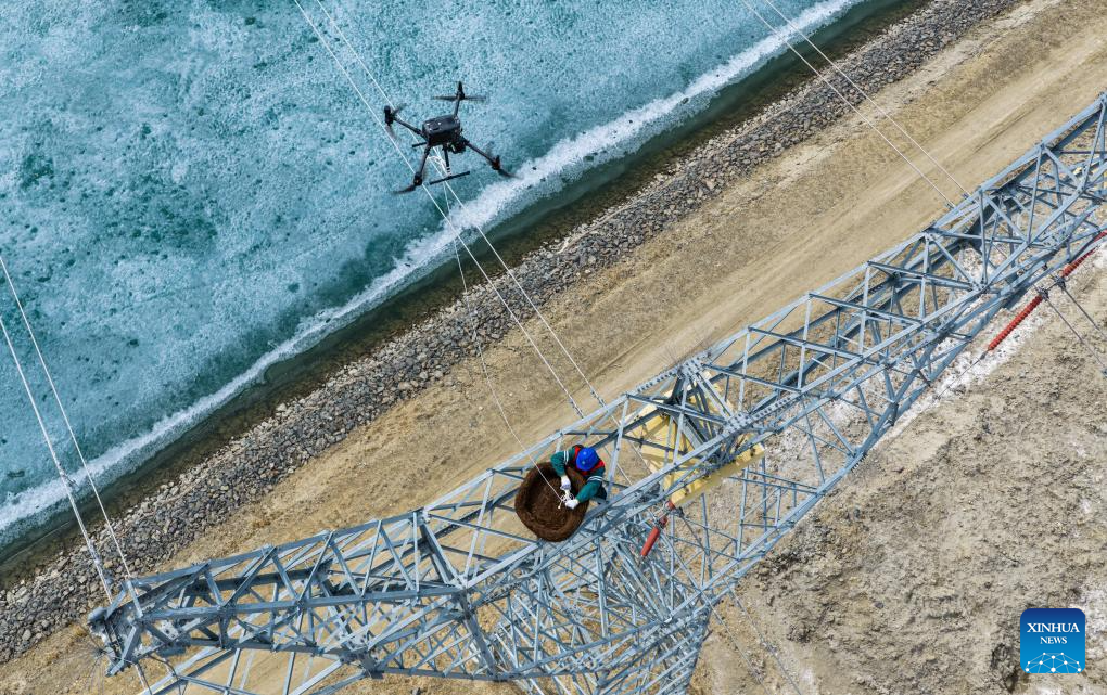 Ecological bird nests installed to protect migratory birds, power lines in Xinjiang