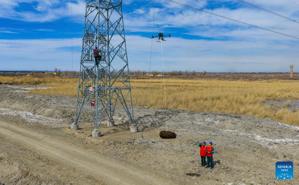 Ecological bird nests installed to protect migratory birds, power lines in Xinjiang