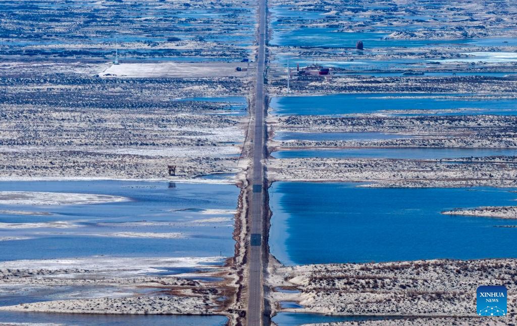 Ecological bird nests installed to protect migratory birds, power lines in Xinjiang
