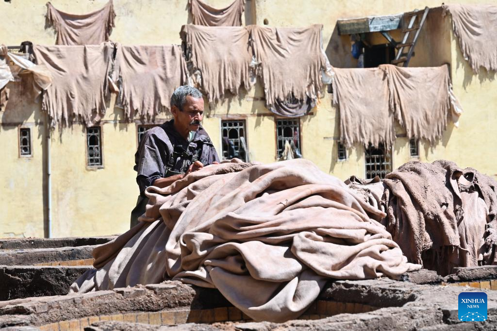 Moroccan leather tanneries preserve centuries-old traditions in Fes