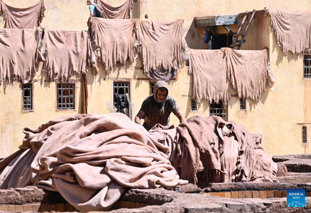 Moroccan leather tanneries preserve centuries-old traditions in Fes