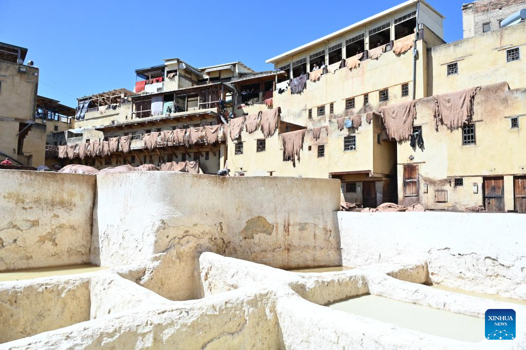 Moroccan leather tanneries preserve centuries-old traditions in Fes