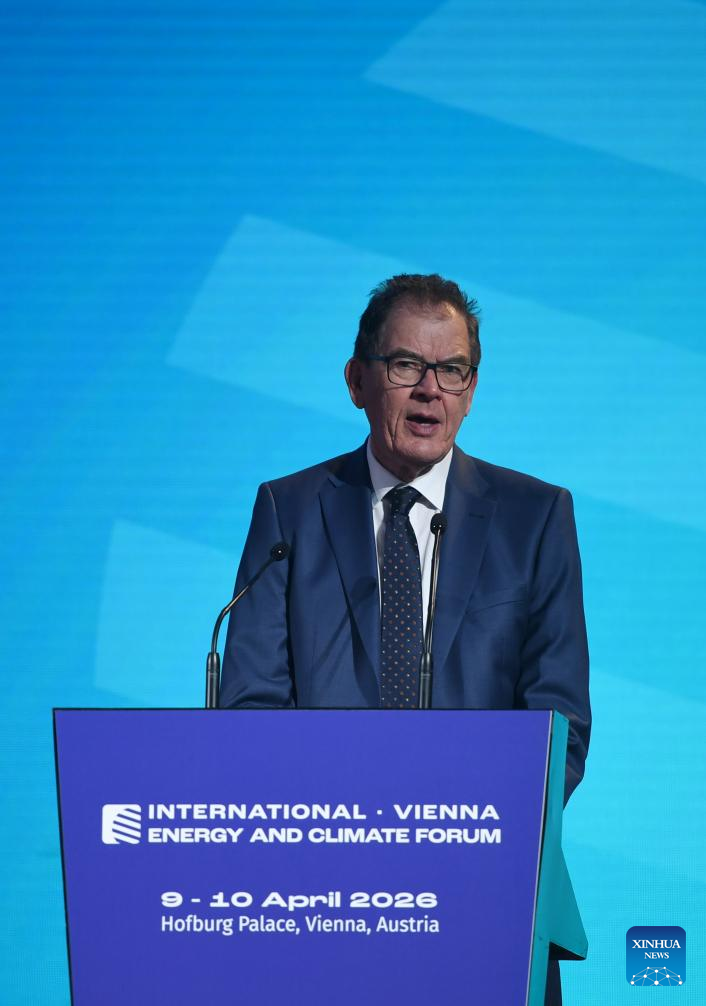 Vienna energy forum calls for accelerated energy transition