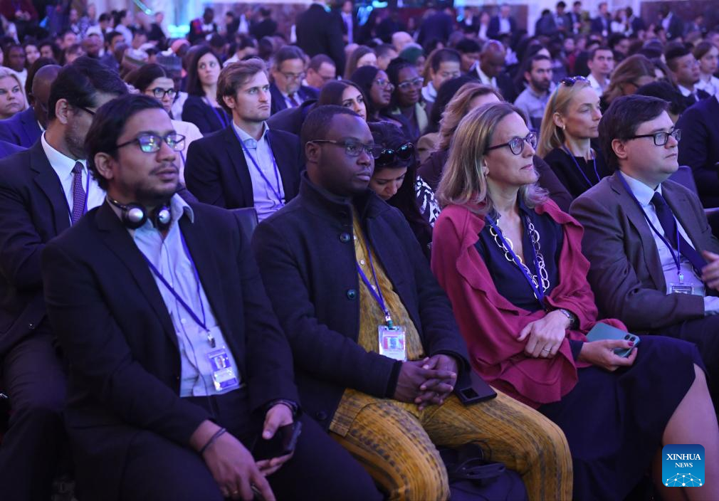 Vienna energy forum calls for accelerated energy transition