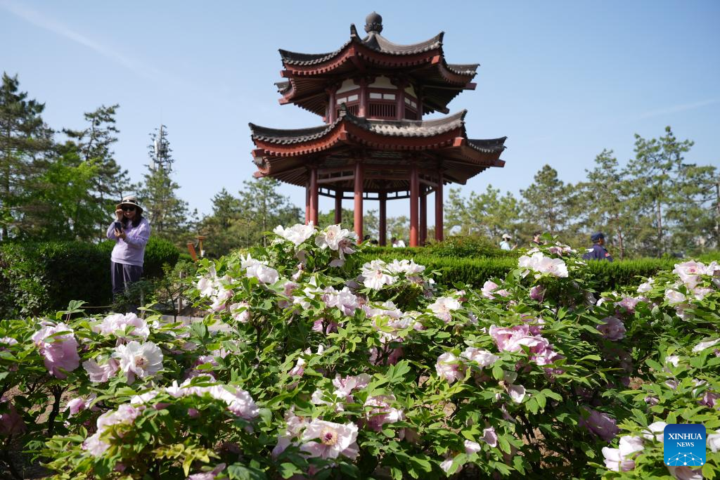Spring view in NW China's Shaanxi