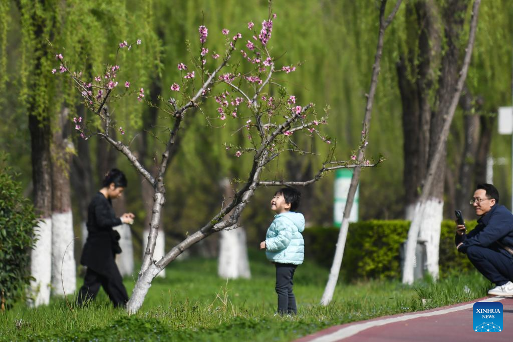 Spring view in NW China's Shaanxi