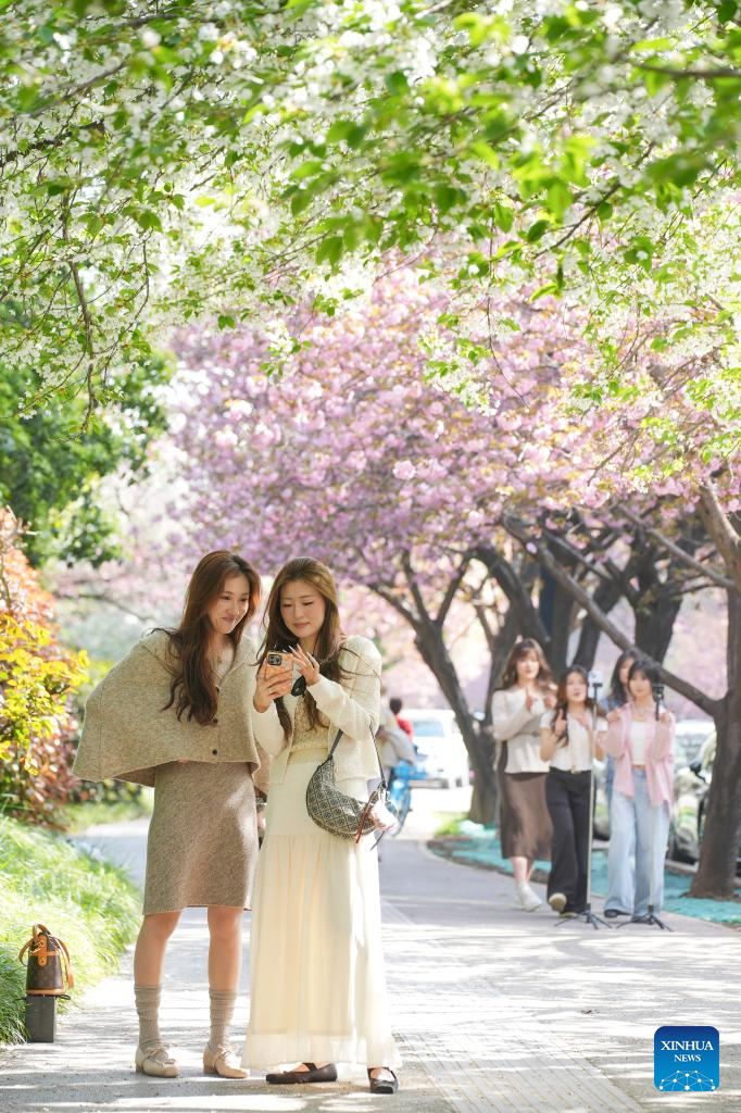 Spring view in NW China's Shaanxi