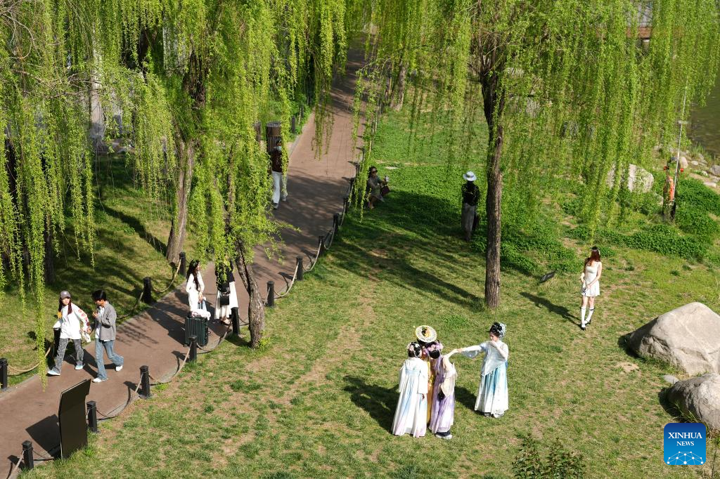 Spring view in NW China's Shaanxi