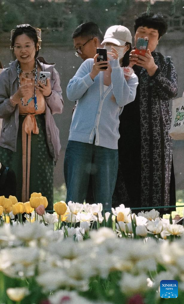 People enjoy blooming tulips at Zhongshan Park in Beijing